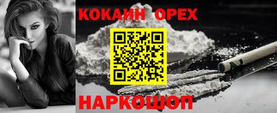 прущие грибы Моздок