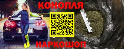 прущие грибы Моздок