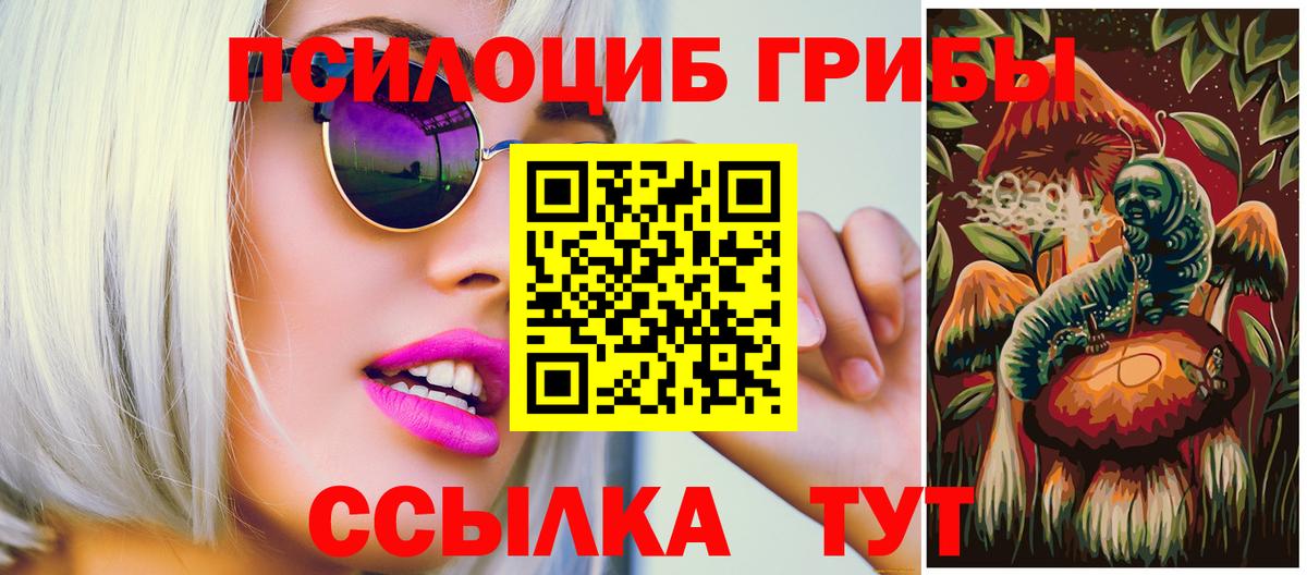 Псилоцибиновые грибы Cubensis Южно-Сахалинск
